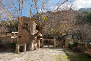 Finca Ses Fontanelles